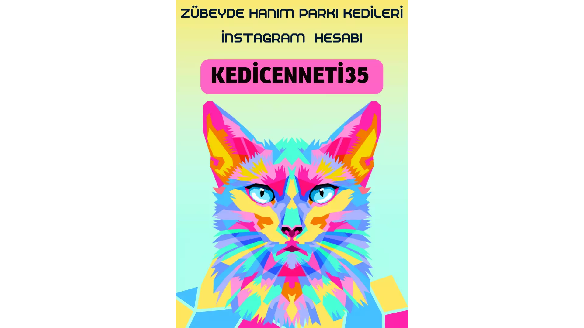 kedicenneti35